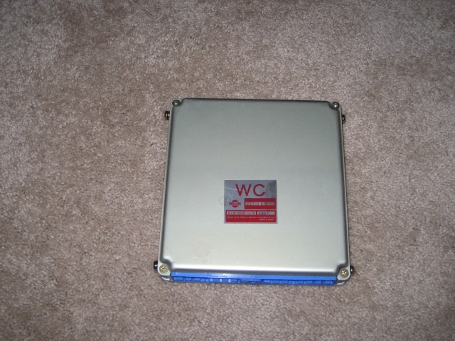 Picture 008