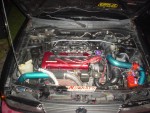 DSC04950